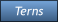 Terns